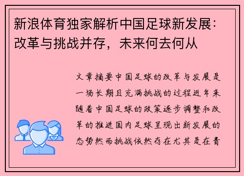 新浪体育独家解析中国足球新发展：改革与挑战并存，未来何去何从