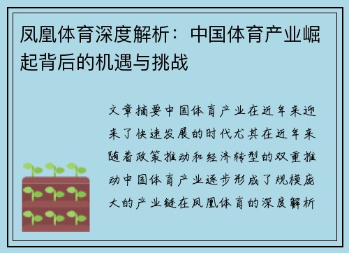 凤凰体育深度解析：中国体育产业崛起背后的机遇与挑战